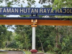 Taman Hutan Raya Rajo Lelo Bengkulu